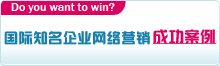 國(guó)際國(guó)內(nèi)知名企業(yè)網(wǎng)絡(luò)營(yíng)銷案例